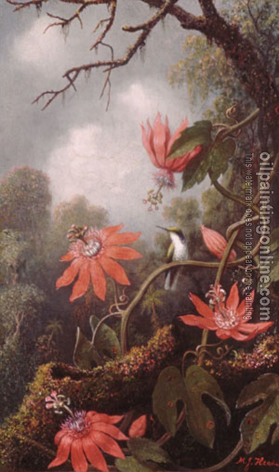 Heade, Martin Johnson - Hummingbird And Passionflowers